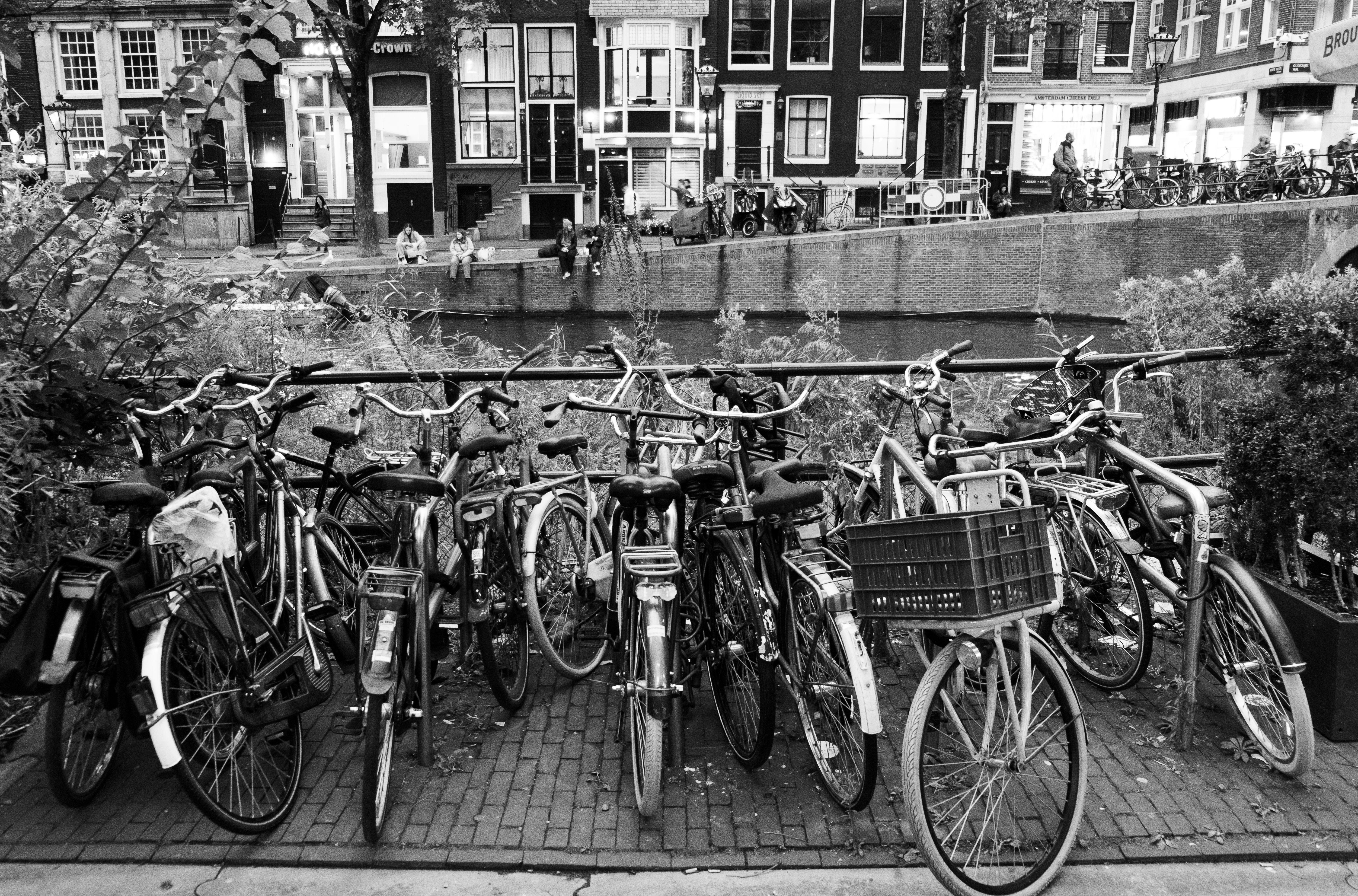 The Diary of a Trip…